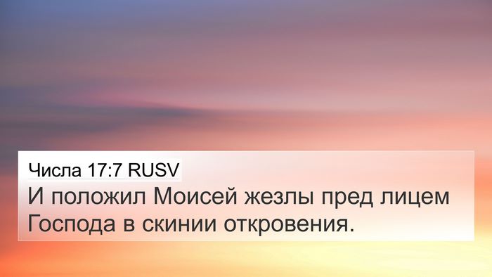 Числа 17:7 RUSV 4K Wallpaper - И положил Моисей жезлы - 4K Wallpaper Bible Verse