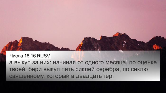 Числа 18:16 RUSV Bible Verse Image