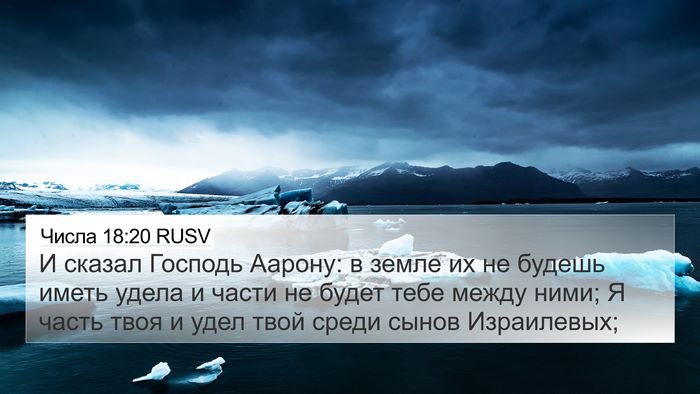 Числа 18:20 RUSV Bible Verse Image