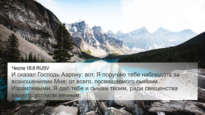 Числа 18:8 RUSV Bible Verse Image