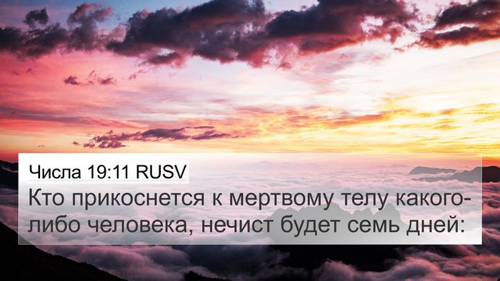 Числа 19:11 RUSV 4K Wallpaper - Кто прикоснется к мертвому - 4K Wallpaper Bible Verse