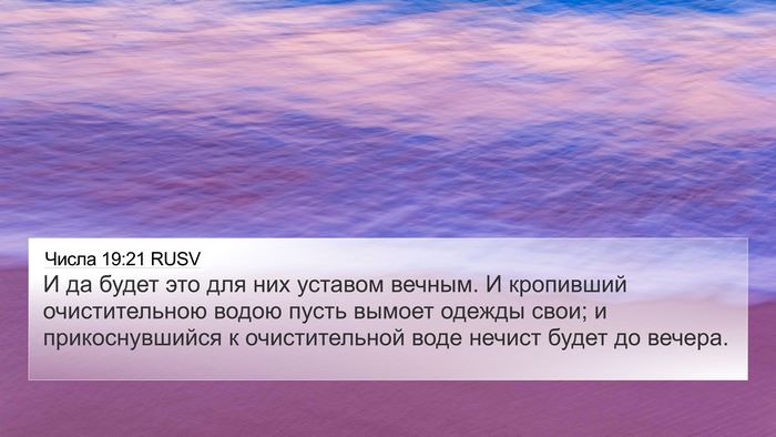 Числа 19:21 RUSV Bible Verse Image