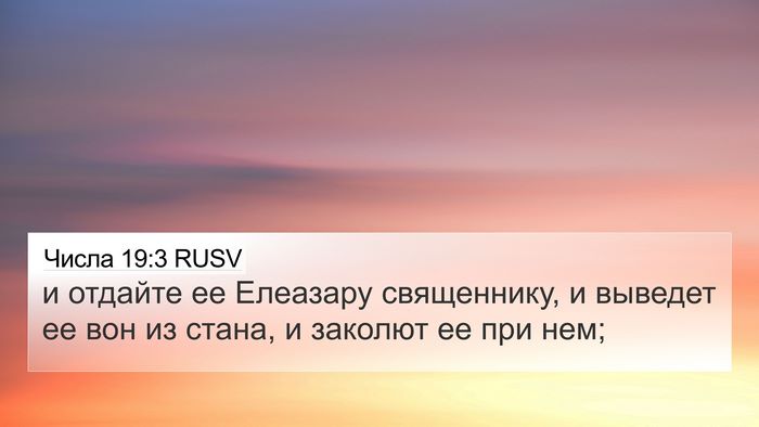 Числа 19:3 RUSV Bible Verse Image