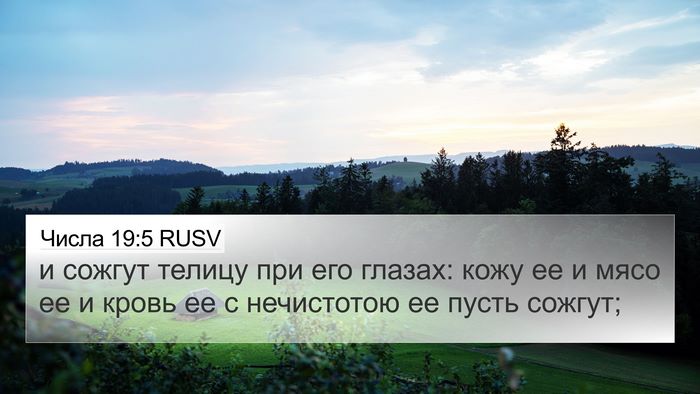 Числа 19:5 RUSV Bible Verse Image
