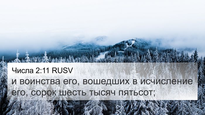 Числа 2:11 RUSV Bible Verse Image