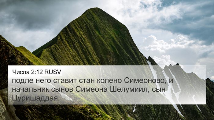 Числа 2:12 RUSV Bible Verse Image