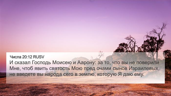 Числа 20:12 RUSV Bible Verse Image