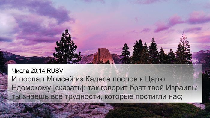 Числа 20:14 RUSV Bible Verse Image