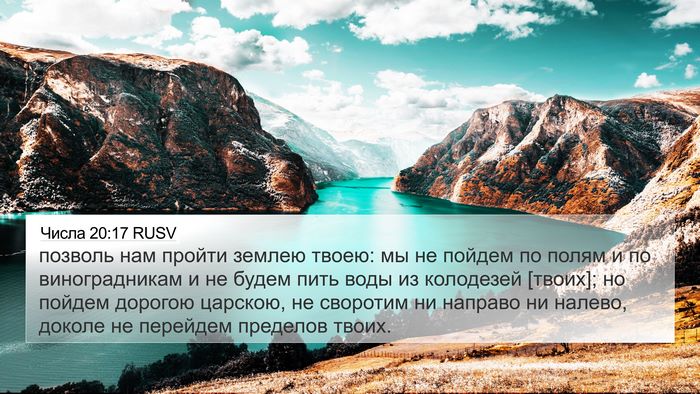 Числа 20:17 RUSV Bible Verse Image