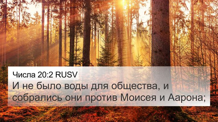 Числа 20:2 RUSV Bible Verse Image