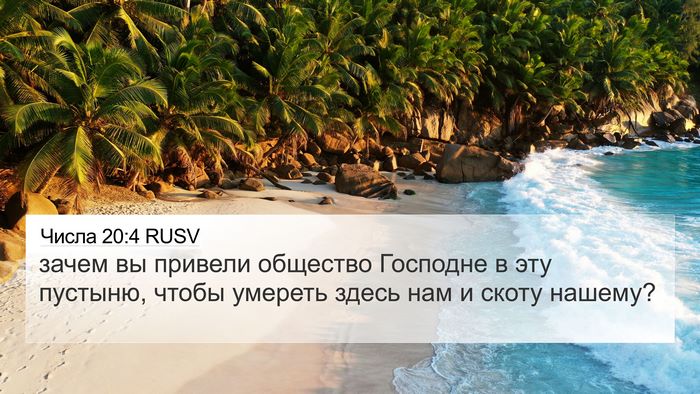 Числа 20:4 RUSV Bible Verse Image