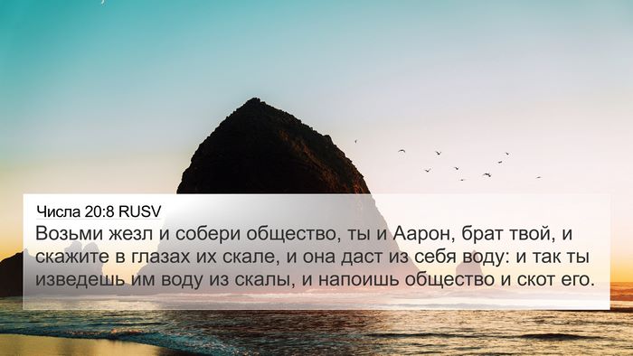 Числа 20:8 RUSV Bible Verse Image