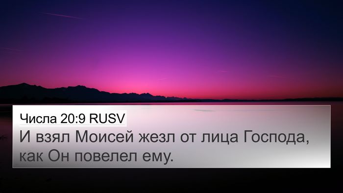 Числа 20:9 RUSV Bible Verse Image