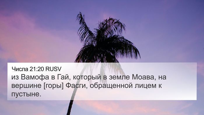 Числа 21:20 RUSV 4K Wallpaper - из Вамофа в Гай, который в - 4K Wallpaper Bible Verse