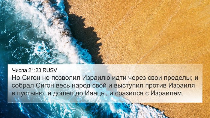Числа 21:23 RUSV Bible Verse Image