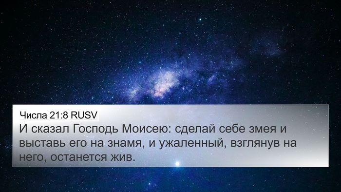 Числа 21:8 RUSV Bible Verse Image