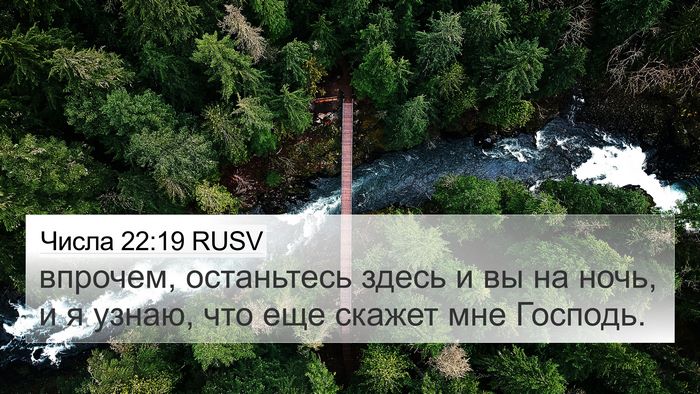 Числа 22:19 RUSV 4K Wallpaper - впрочем, останьтесь здесь - 4K Wallpaper Bible Verse