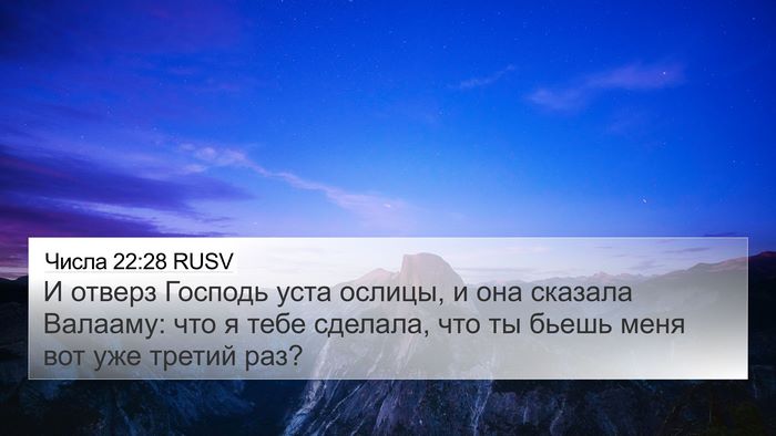 Числа 22:28 RUSV Bible Verse Image