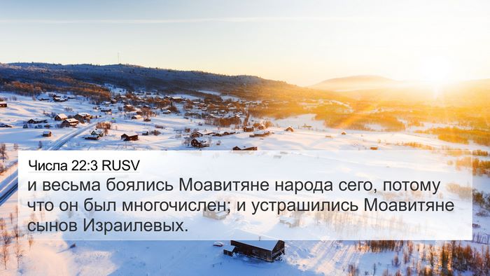 Числа 22:3 RUSV Bible Verse Image