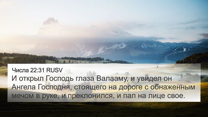 Числа 22:31 RUSV 4K Wallpaper - И открыл Господь глаза - 4K Wallpaper Bible Verse