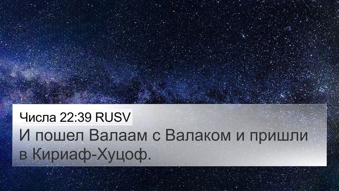 Числа 22:39 RUSV 4K Wallpaper - И пошел Валаам с Валаком и - 4K Wallpaper Bible Verse