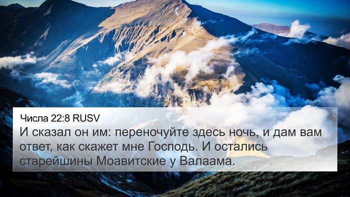 Числа 22:8 RUSV Bible Verse Image