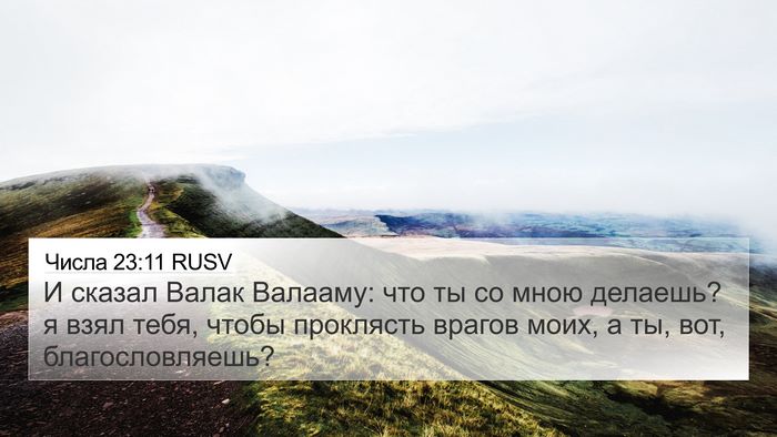 Числа 23:11 RUSV Bible Verse Image
