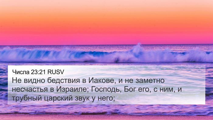 Числа 23:21 RUSV Bible Verse Image