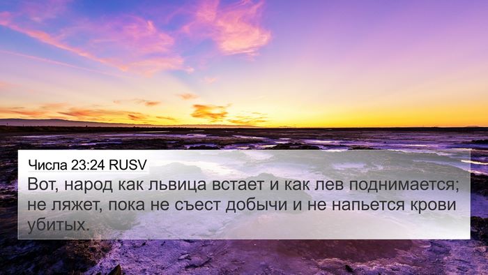 Числа 23:24 RUSV Bible Verse Image