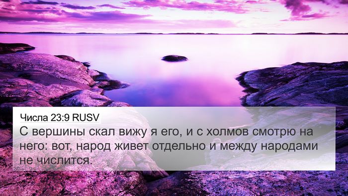 Числа 23:9 RUSV Bible Verse Image