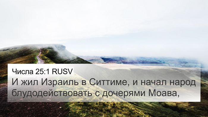 Числа 25:1 RUSV Bible Verse Image