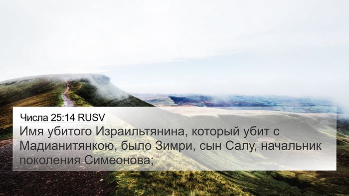 Числа 25:14 RUSV Bible Verse Image