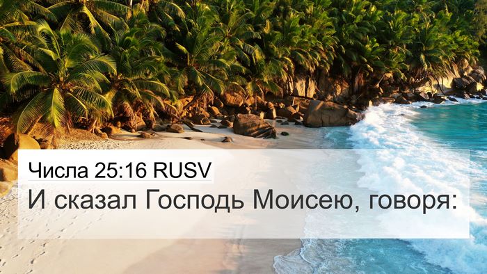 Числа 25:16 RUSV 4K Wallpaper - И сказал Господь Моисею, - 4K Wallpaper Bible Verse