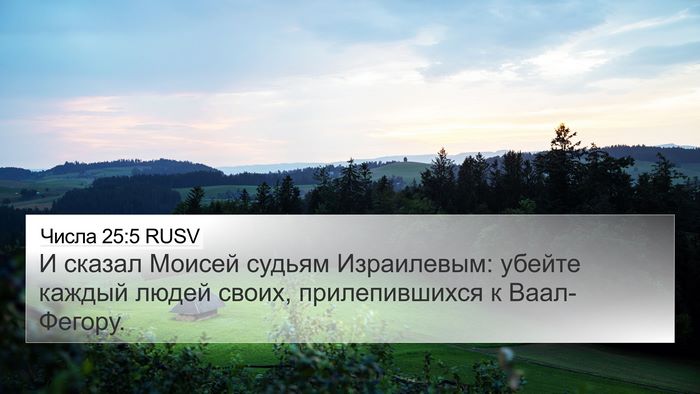 Числа 25:5 RUSV Bible Verse Image