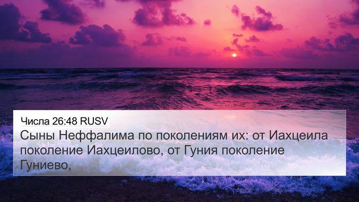 Числа 26:48 RUSV Bible Verse Image