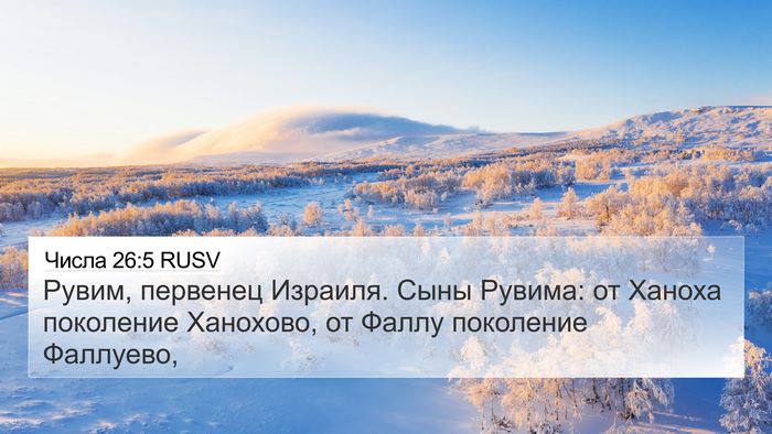 Числа 26:5 RUSV Bible Verse Image