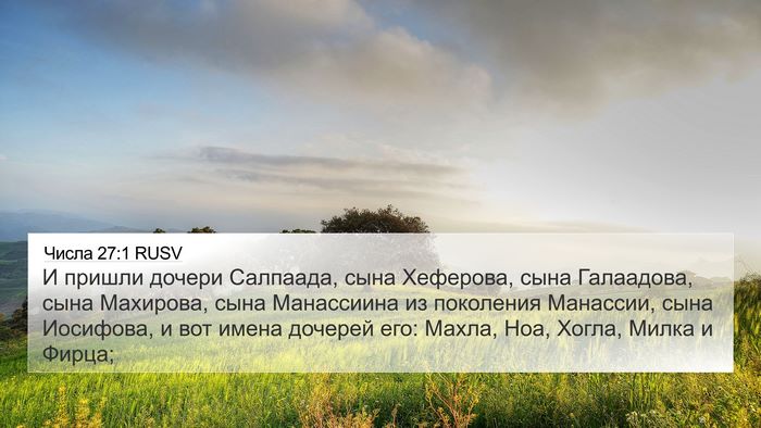 Числа 27:1 RUSV Bible Verse Image