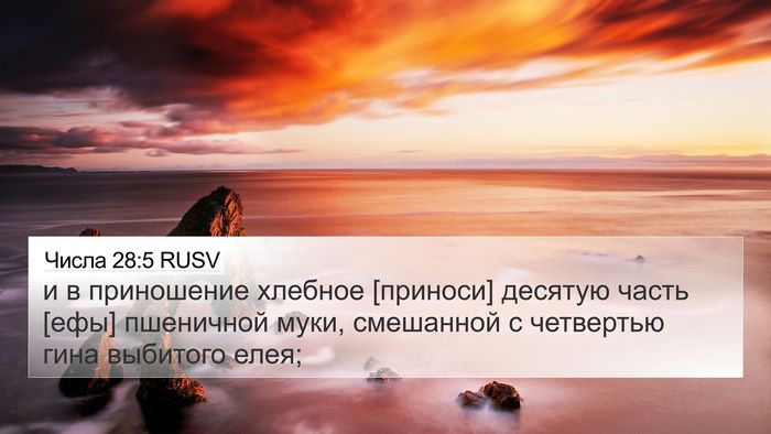 Числа 28:5 RUSV 4K Wallpaper - и в приношение хлебное - 4K Wallpaper Bible Verse