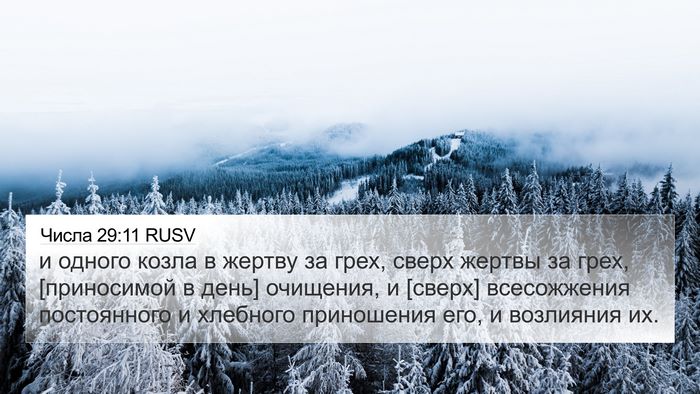 Числа 29:11 RUSV Bible Verse Image