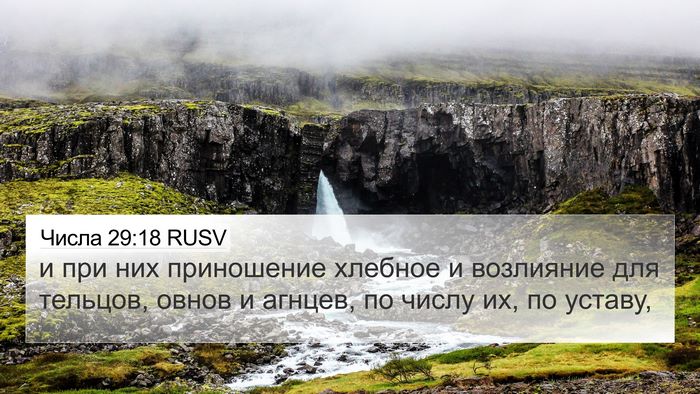 Числа 29:18 RUSV Bible Verse Image