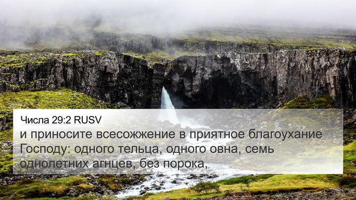 Числа 29:2 RUSV Bible Verse Image