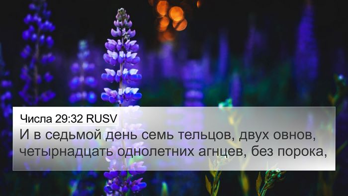 Числа 29:32 RUSV 4K Wallpaper - И в седьмой день семь - 4K Wallpaper Bible Verse