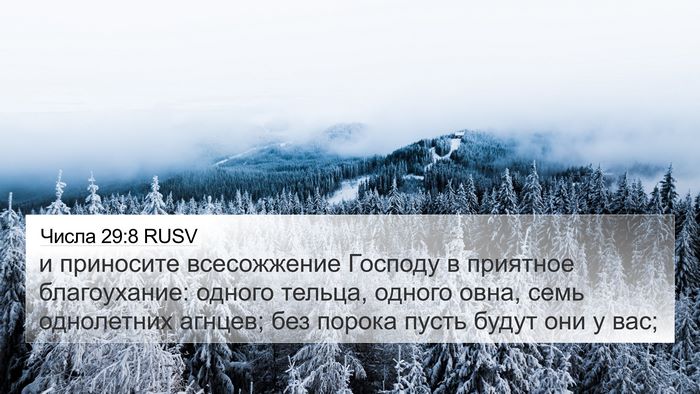 Числа 29:8 RUSV Bible Verse Image