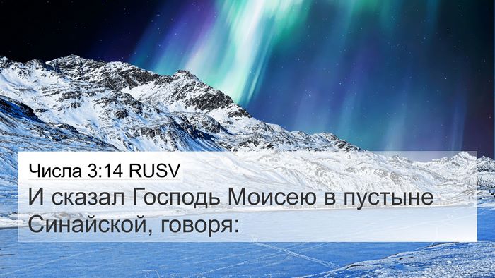 Числа 3:14 RUSV 4K Wallpaper - И сказал Господь Моисею в - 4K Wallpaper Bible Verse