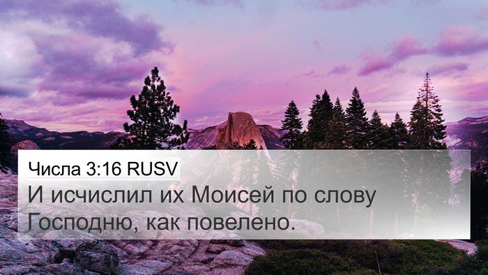 Числа 3:16 RUSV 4K Wallpaper - И исчислил их Моисей по - 4K Wallpaper Bible Verse