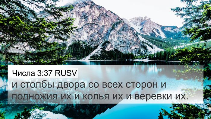 Числа 3:37 RUSV Bible Verse Image