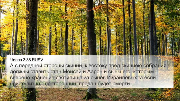 Числа 3:38 RUSV Bible Verse Image