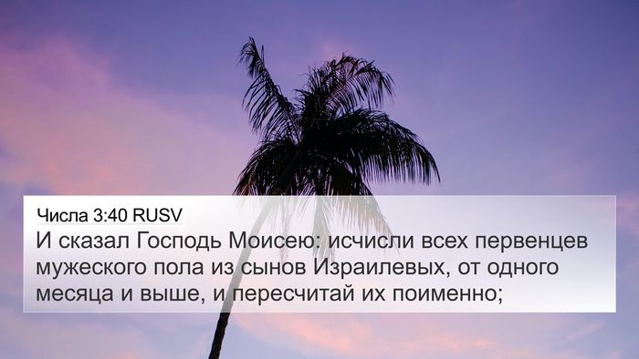 Числа 3:40 RUSV Bible Verse Image