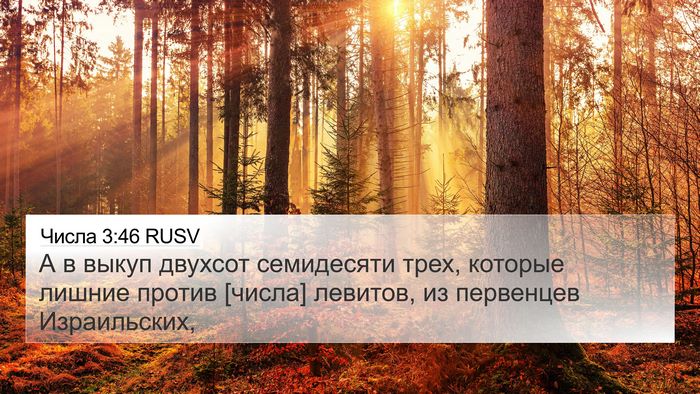 Числа 3:46 RUSV 4K Wallpaper - А в выкуп двухсот - 4K Wallpaper Bible Verse