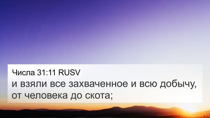 Числа 31:11 RUSV Bible Verse Image